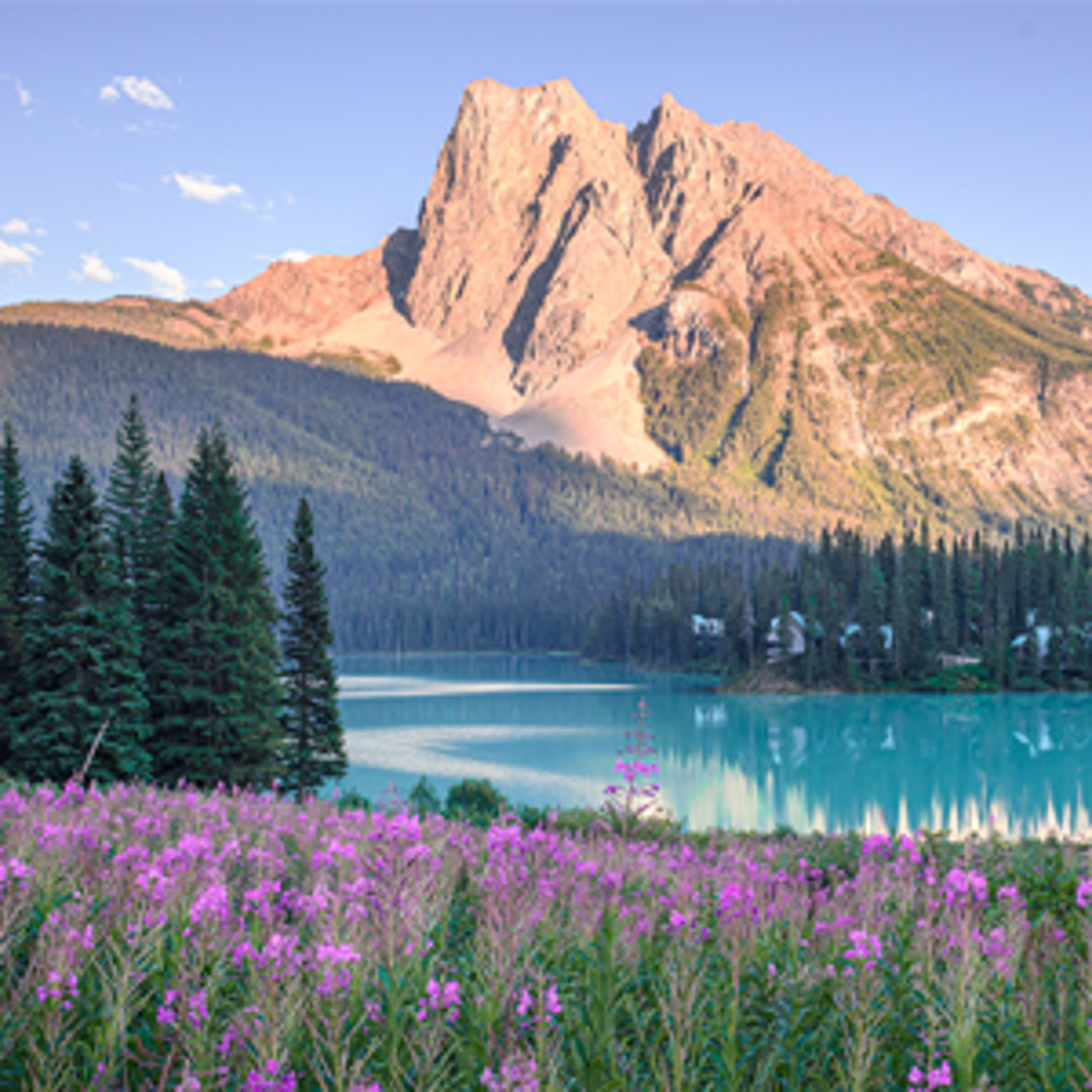 The Importance of Indigeneity in Sustainability