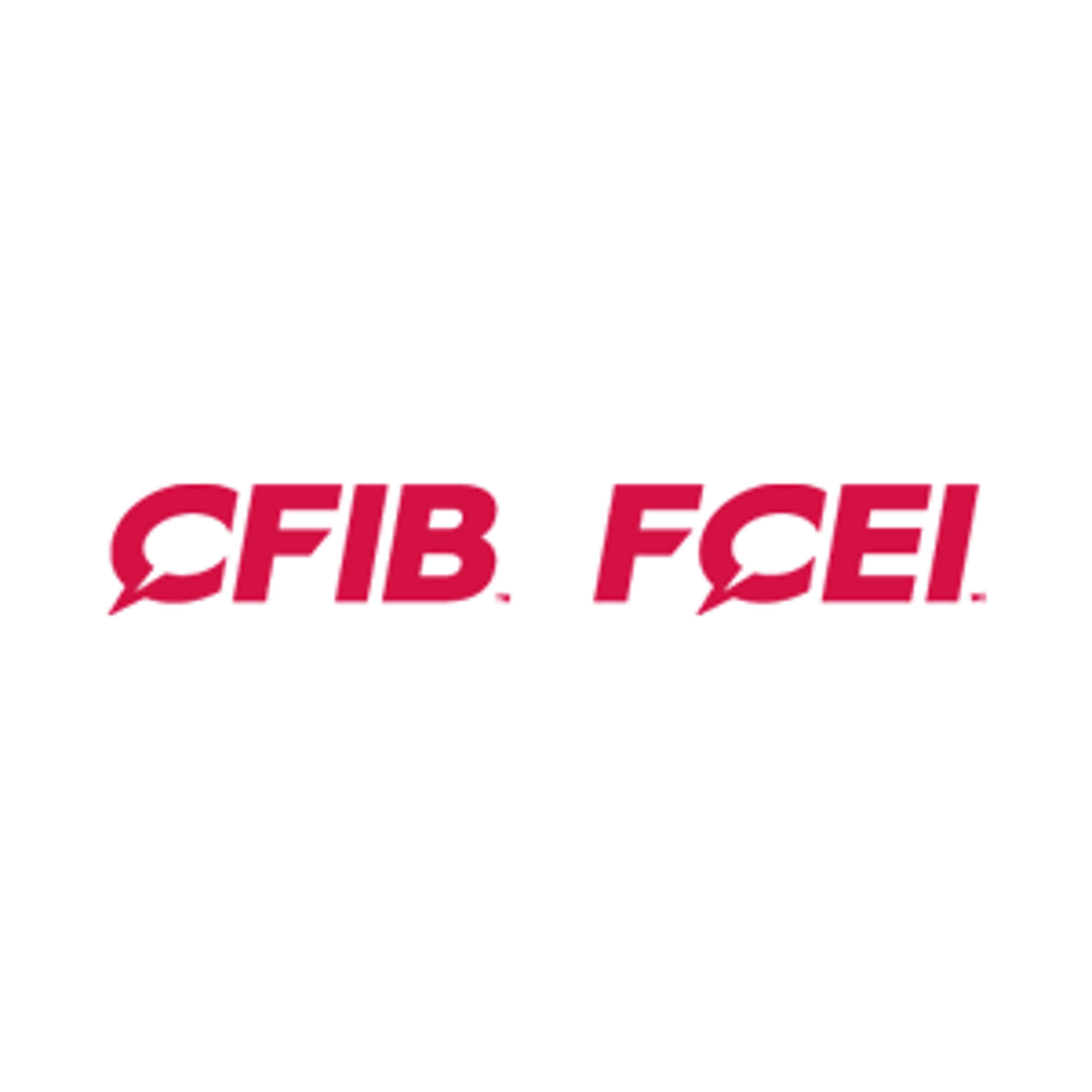 The Canadian Federation of Independent Business (CFIB)