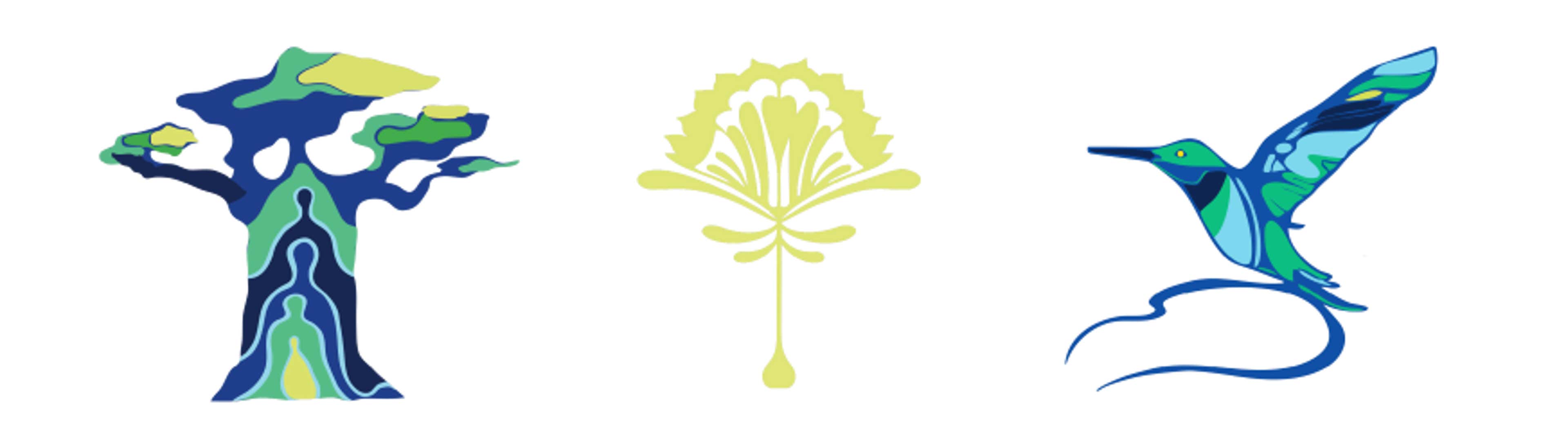 hand drawn illustration