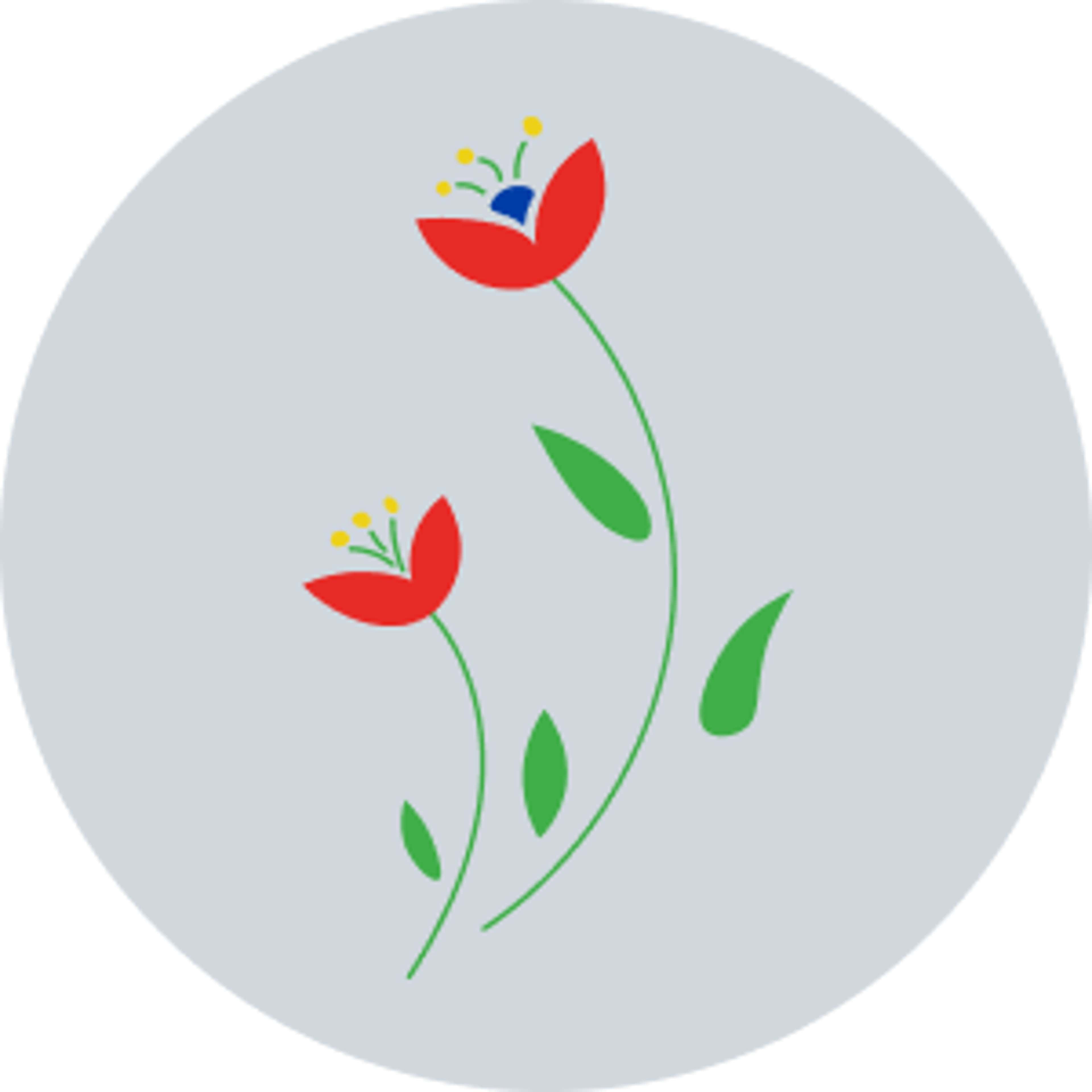 Mental Health Support