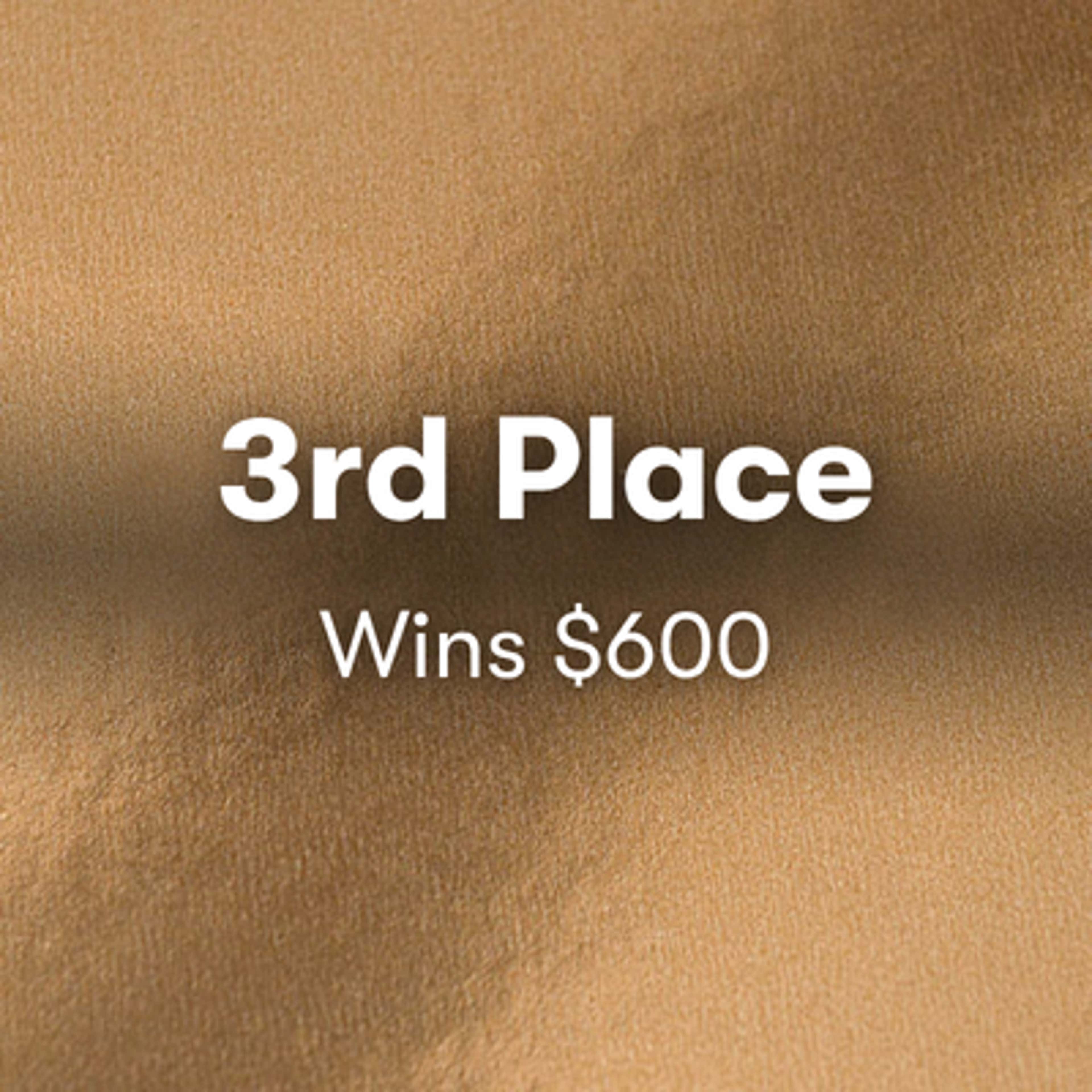 3rd place $600