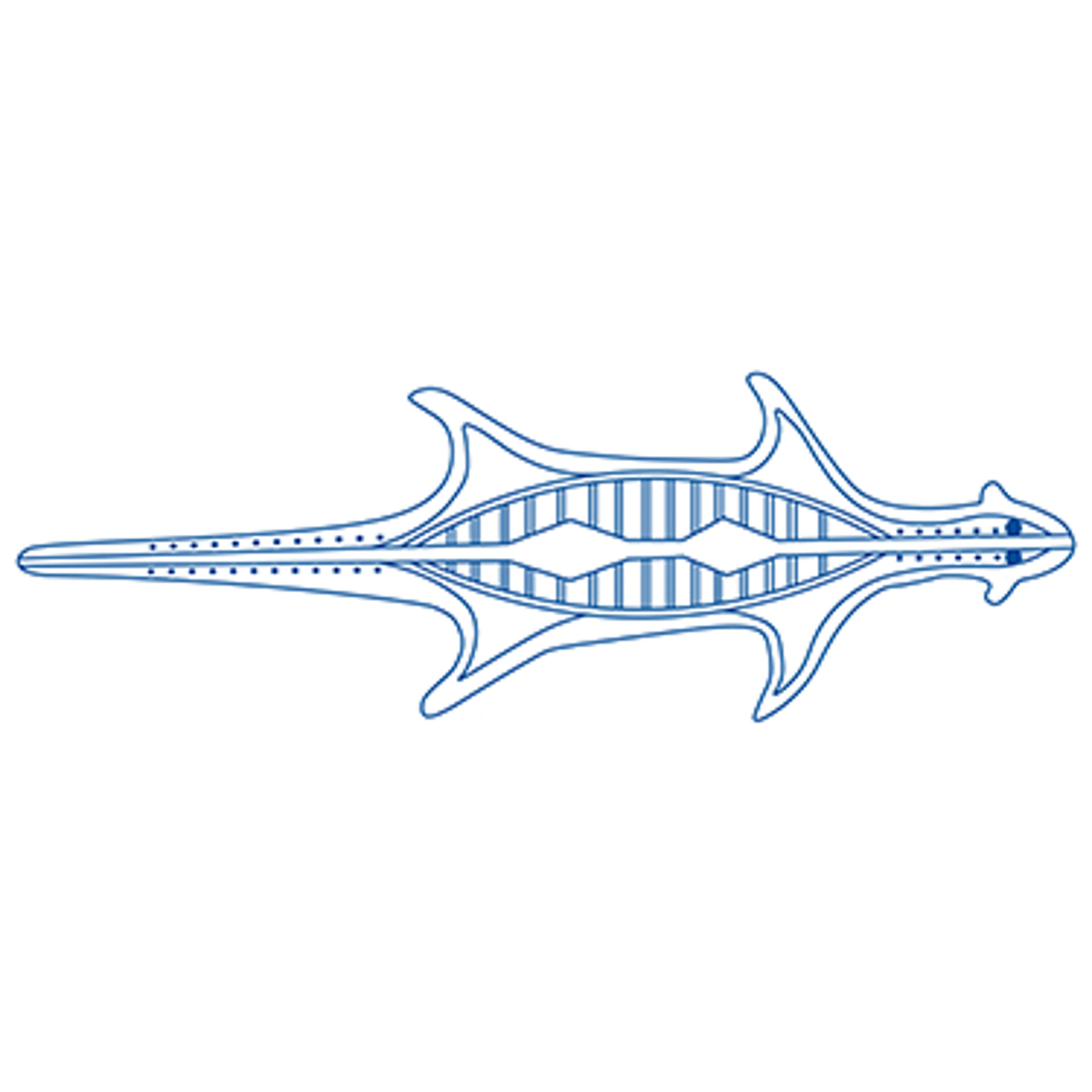 Artwork by Claire Brascoupe