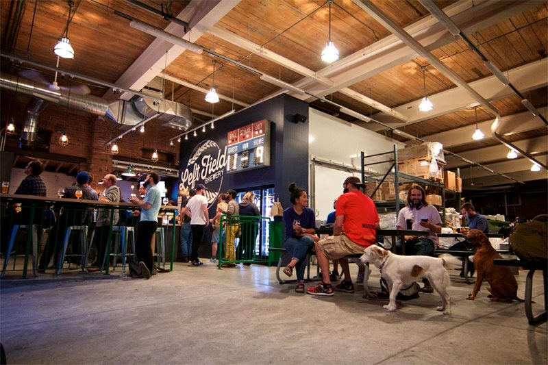 Photo of Left Field Brewery interior