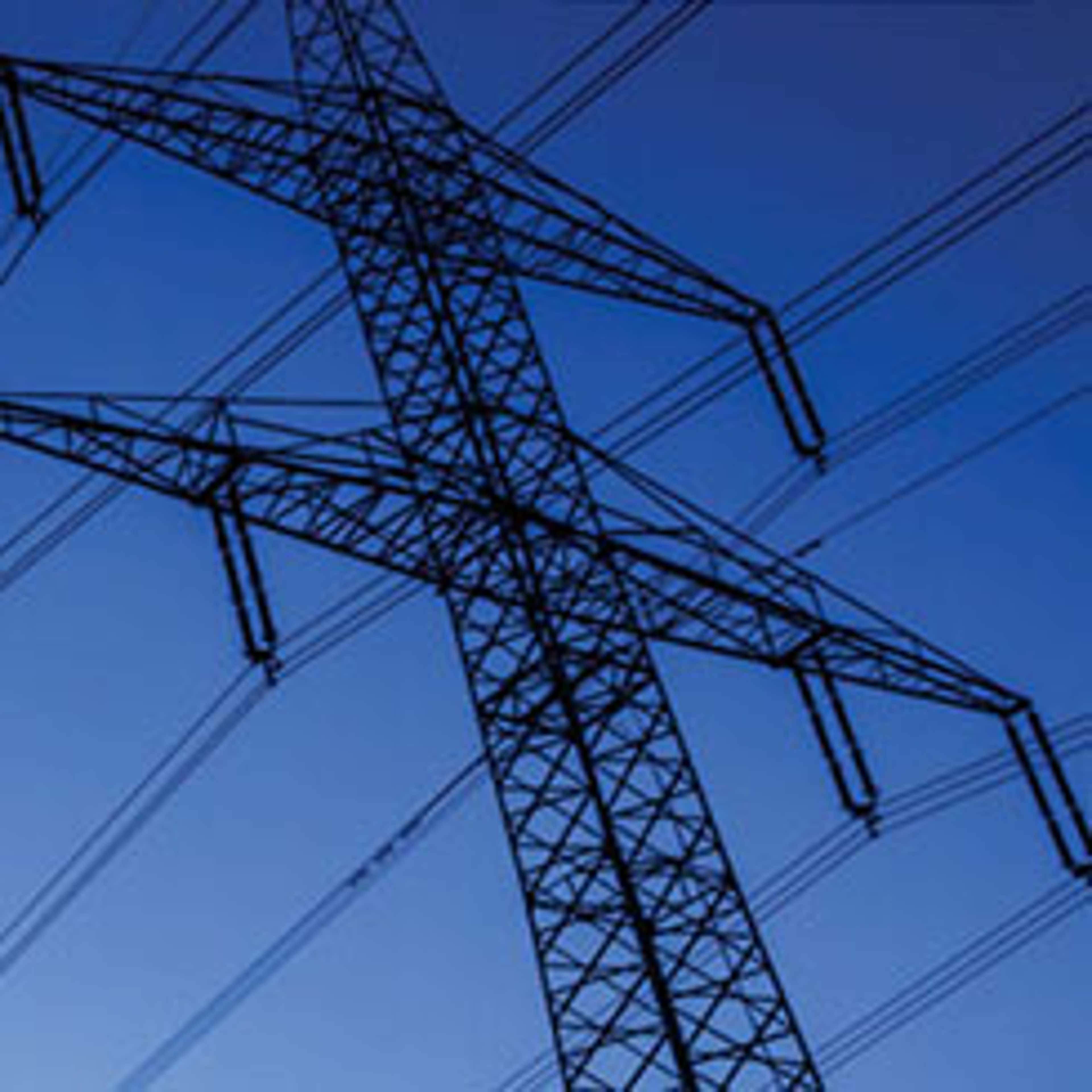 View of hydro wires from below