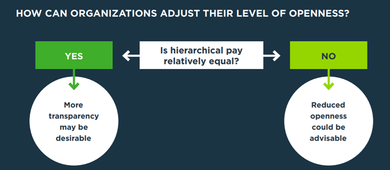 Visual explaining transparency decision based on equality of hierarchical pay