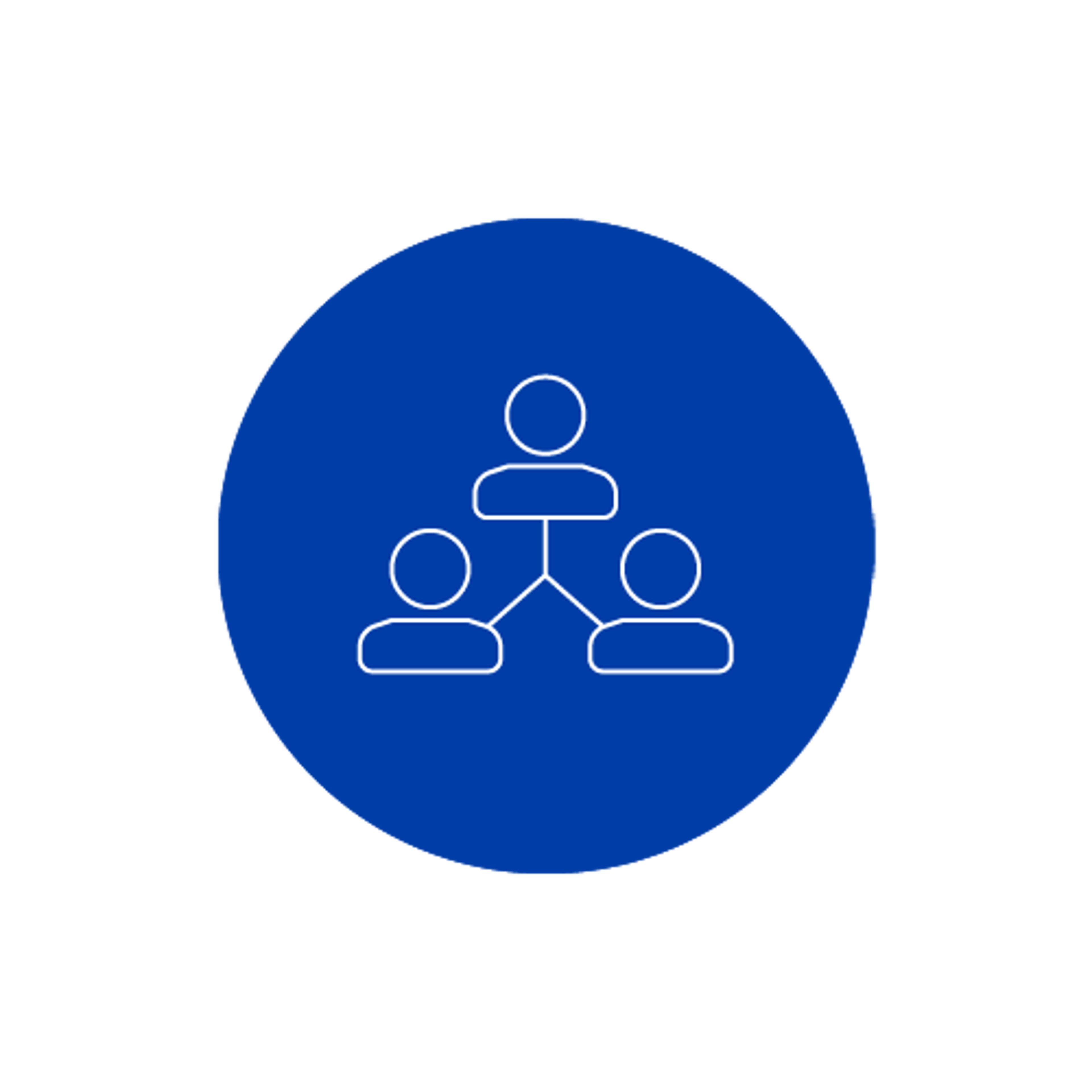 Network and Mentorship