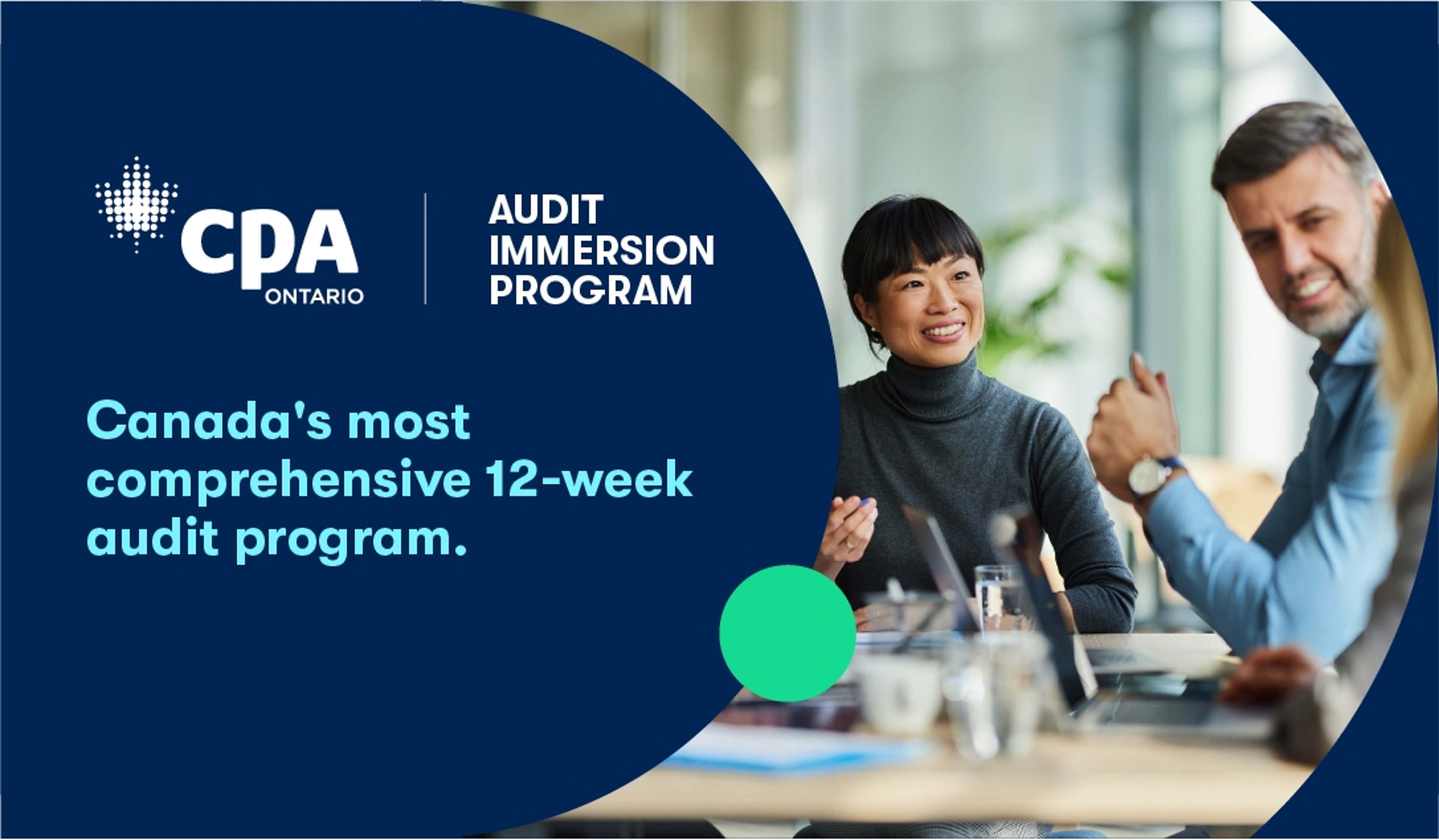 Audit Immersion Program