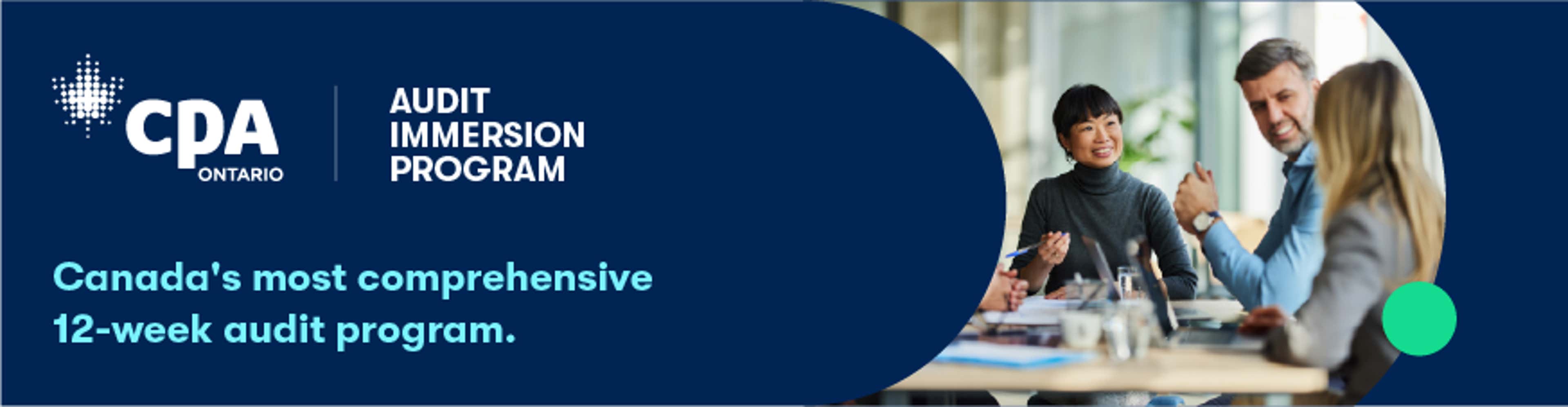 Audit Immersion Program