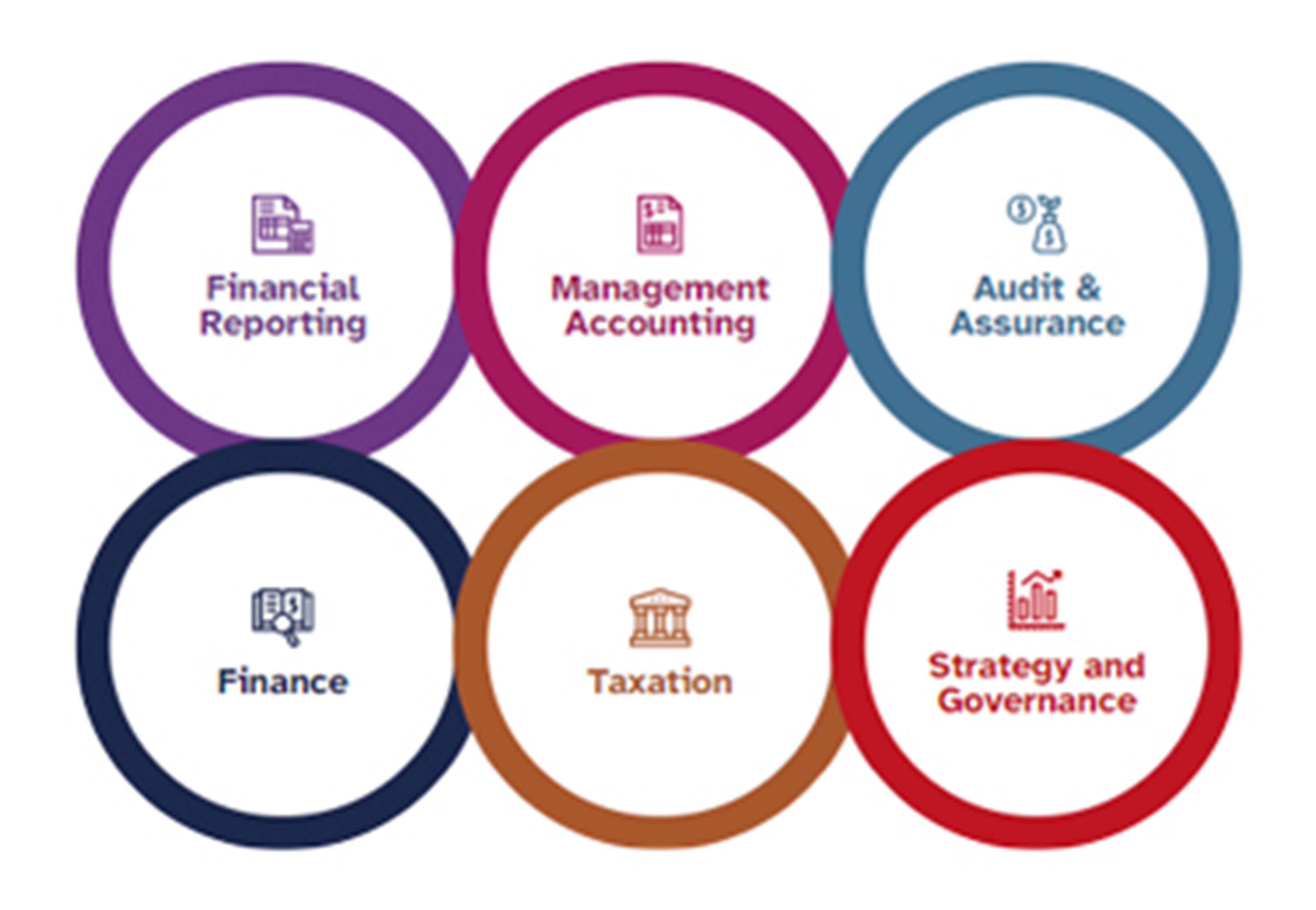 Six rings stacked three in a row encircling from left to right logo and text, financial reporting, management accounting, audit and assurance, finance, taxation and, strategy and governance