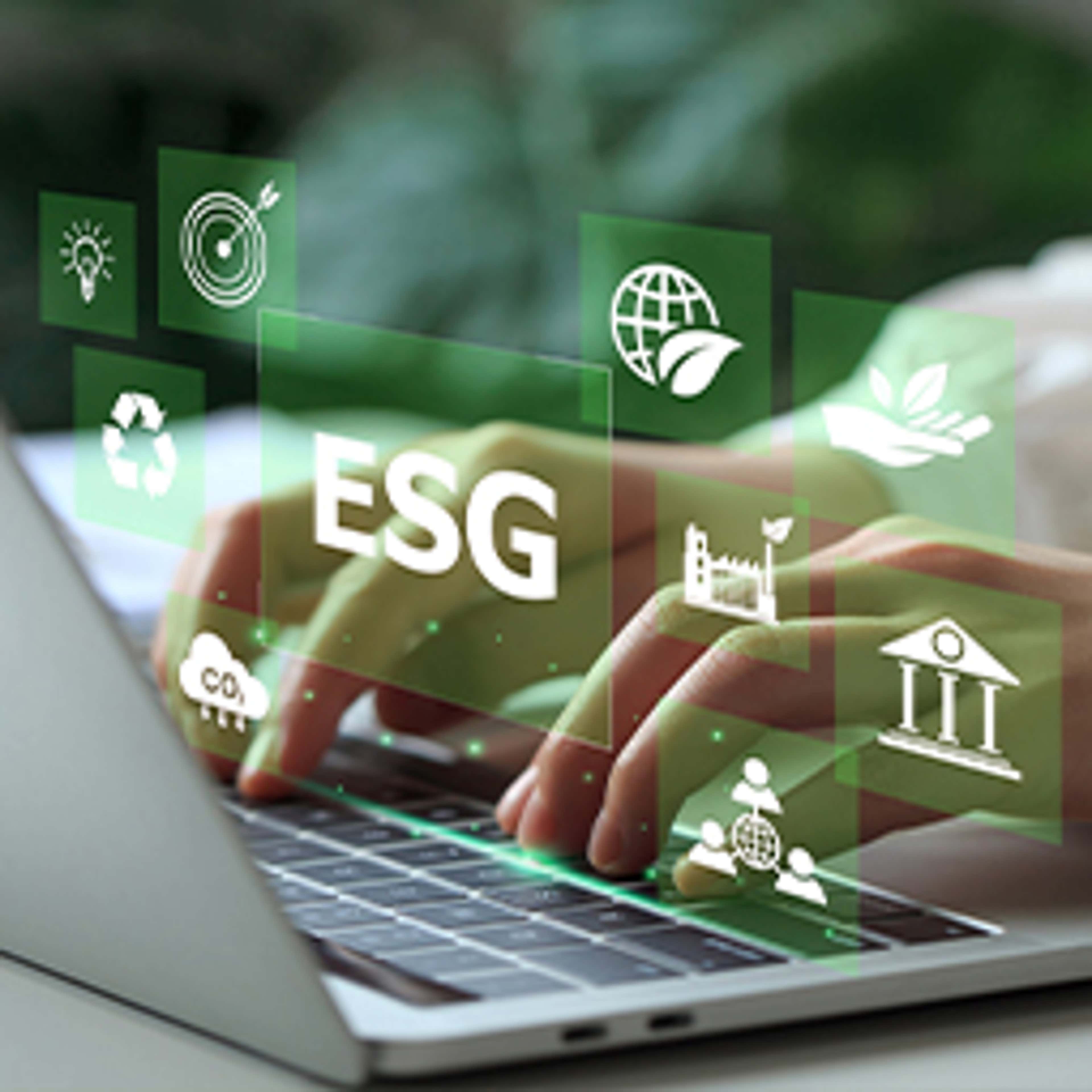 Performing a Materiality Assessment