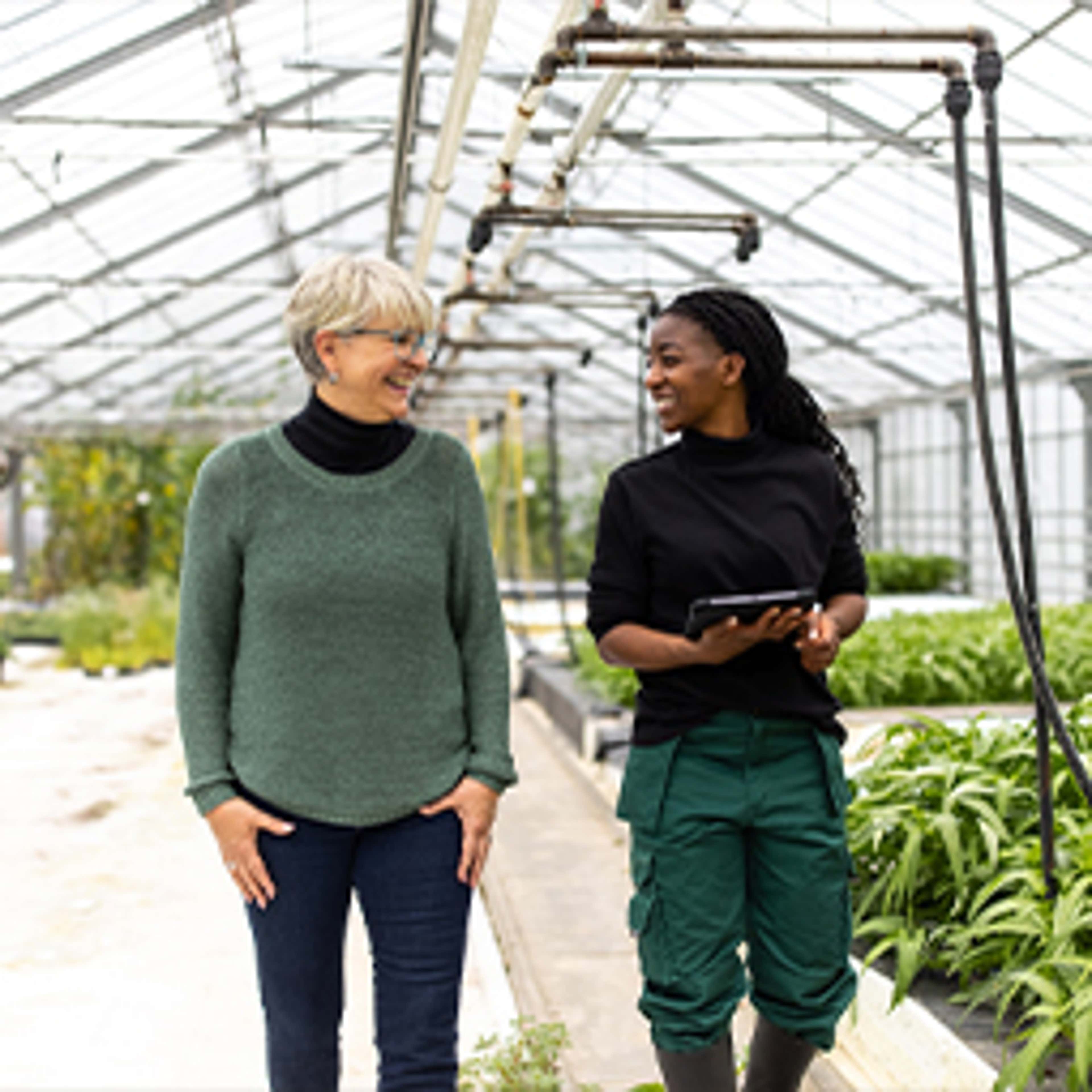 Where to Start with Sustainability Reporting