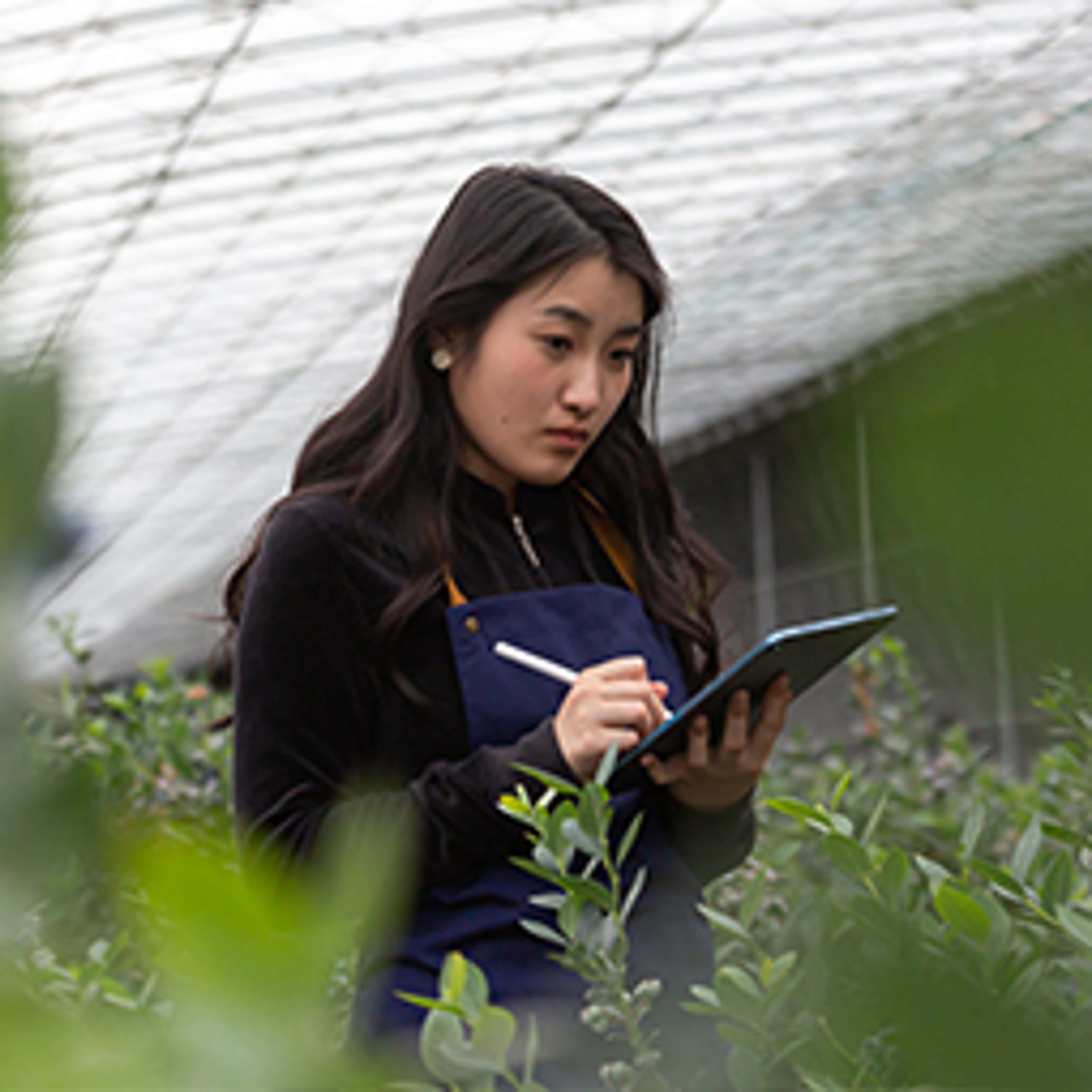 Why Should CPAs Care About Sustainability?