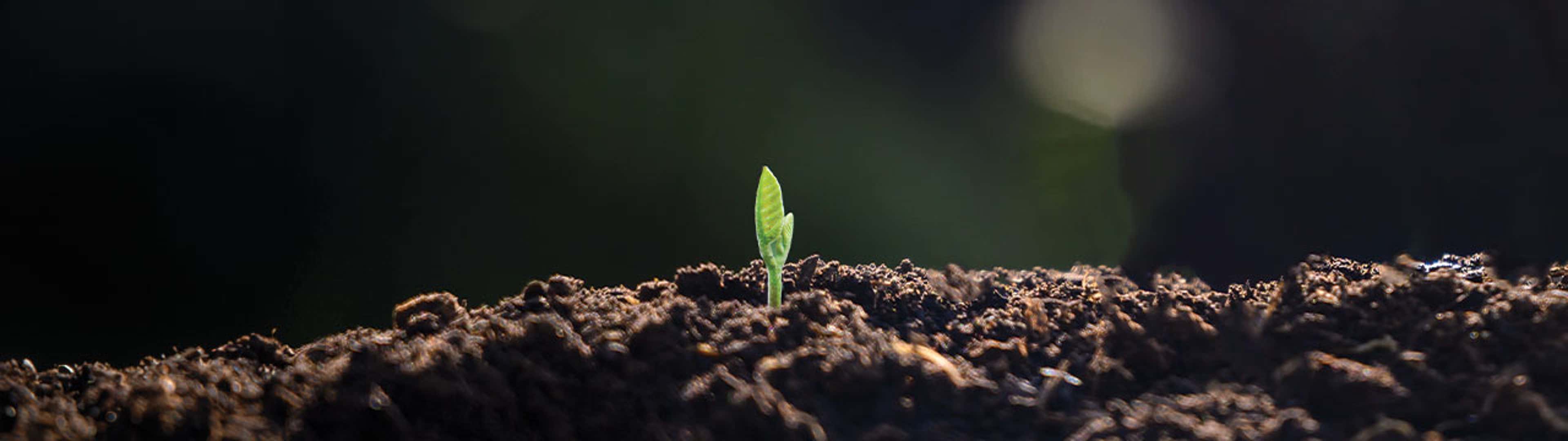 Introduction to Sustainability