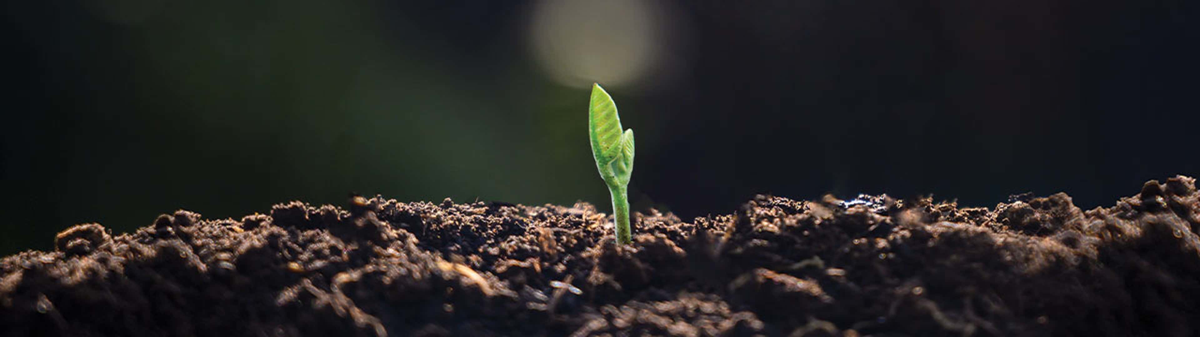 Sustainability and Ethics