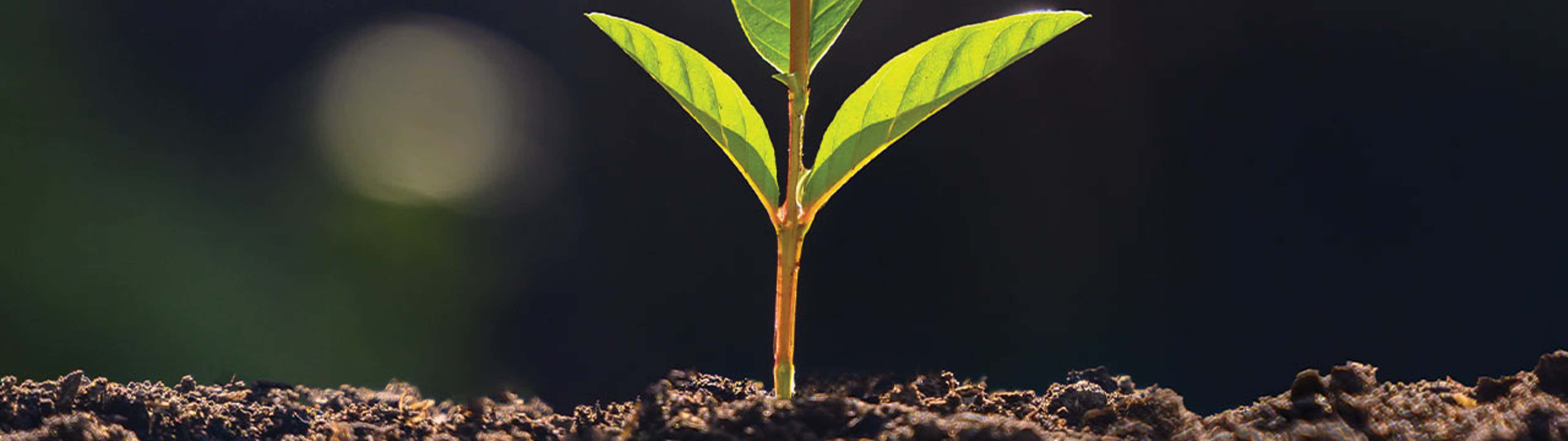 Data Collection and Internal Control