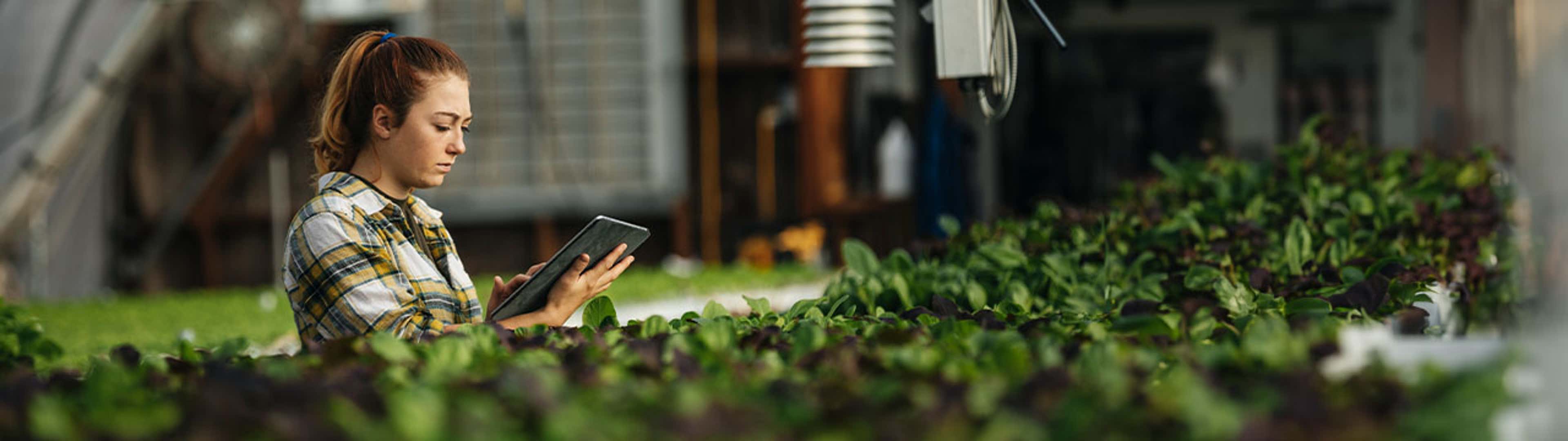 World Economic Forum 2024