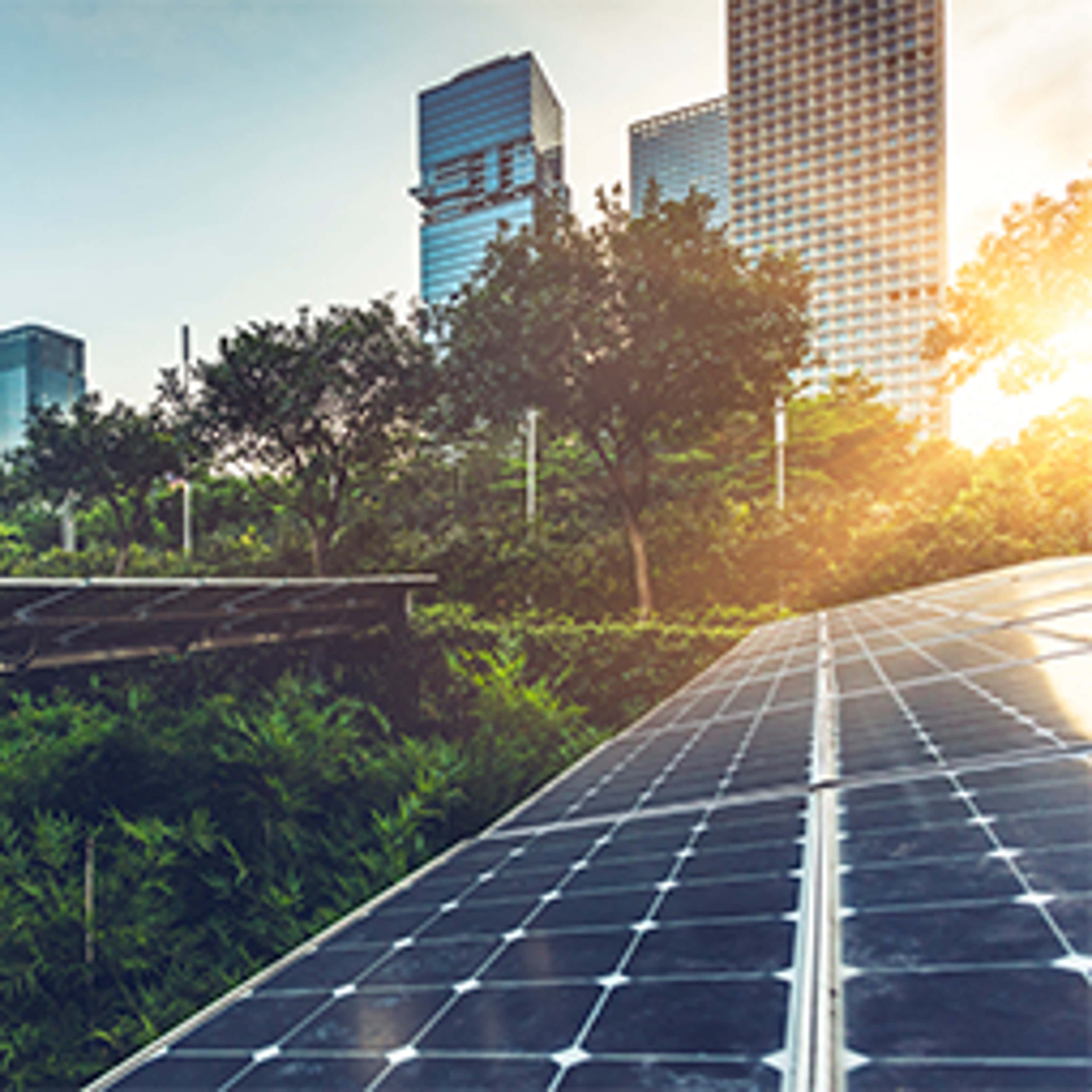 Sustainability Reporting: The Big Picture