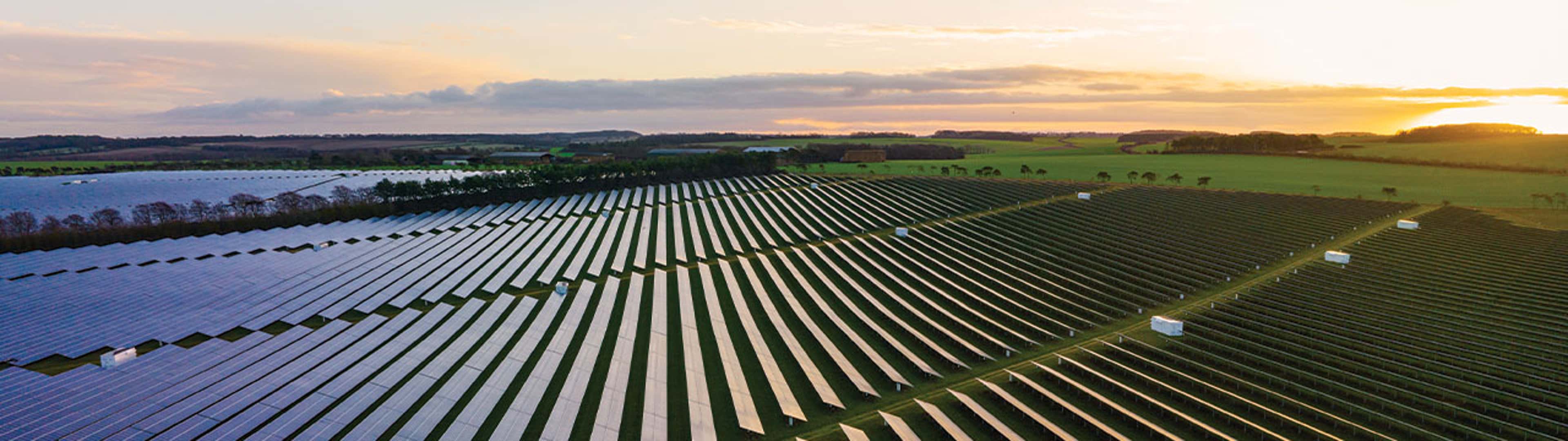 COP28 Summary for CPAs