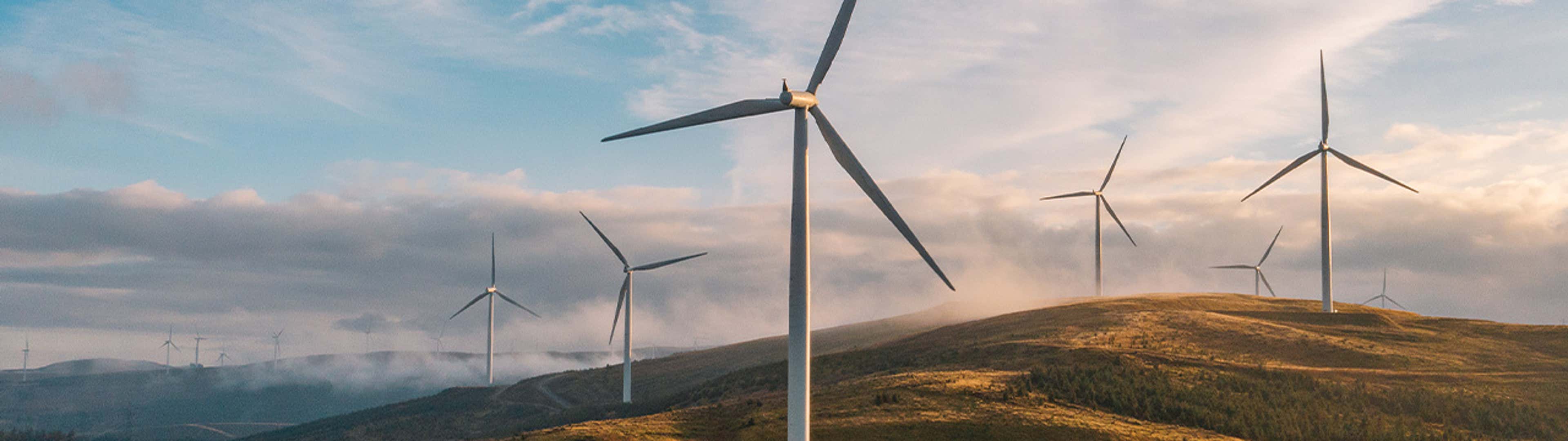 The Security and Exchange Commission Climate Disclosure Rule: Top Five Questions for Canadian CPAs