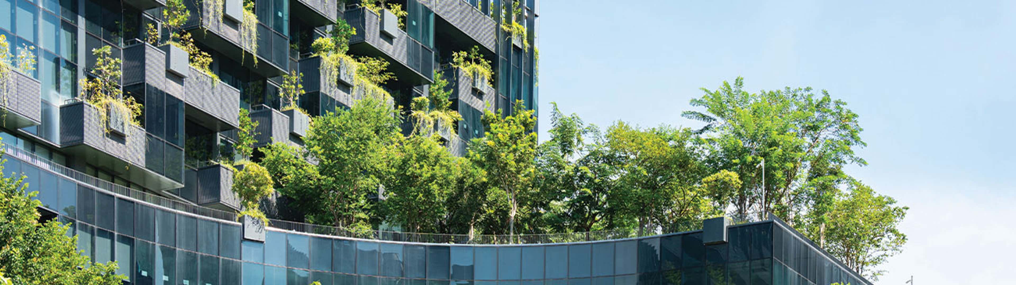 Key Takeaways from the Contemporary Issues in Sustainability Reporting Symposium