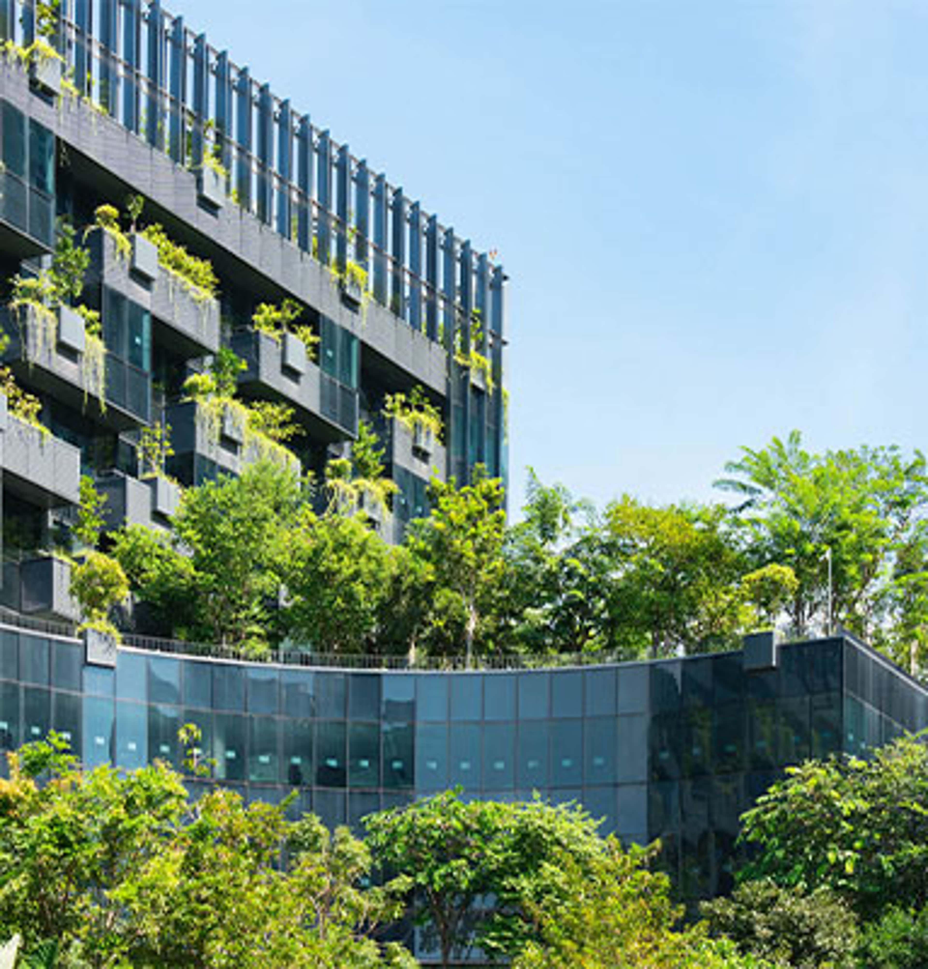 Key Takeaways from the Contemporary Issues in Sustainability Reporting Symposium   