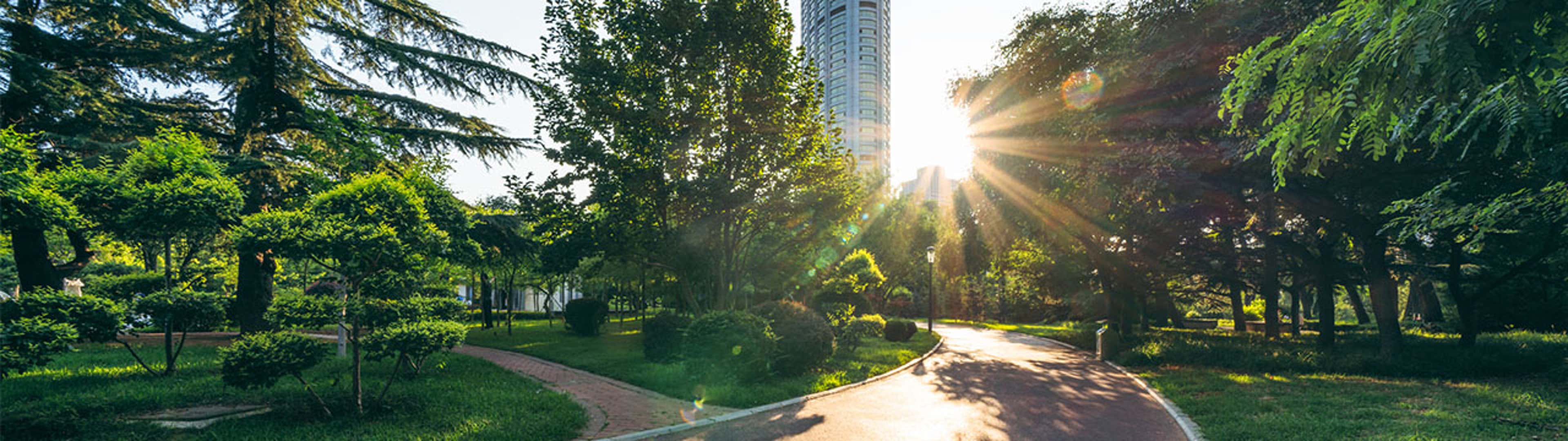 Canadian Sustainability Disclosure Standards - What You Need To Know