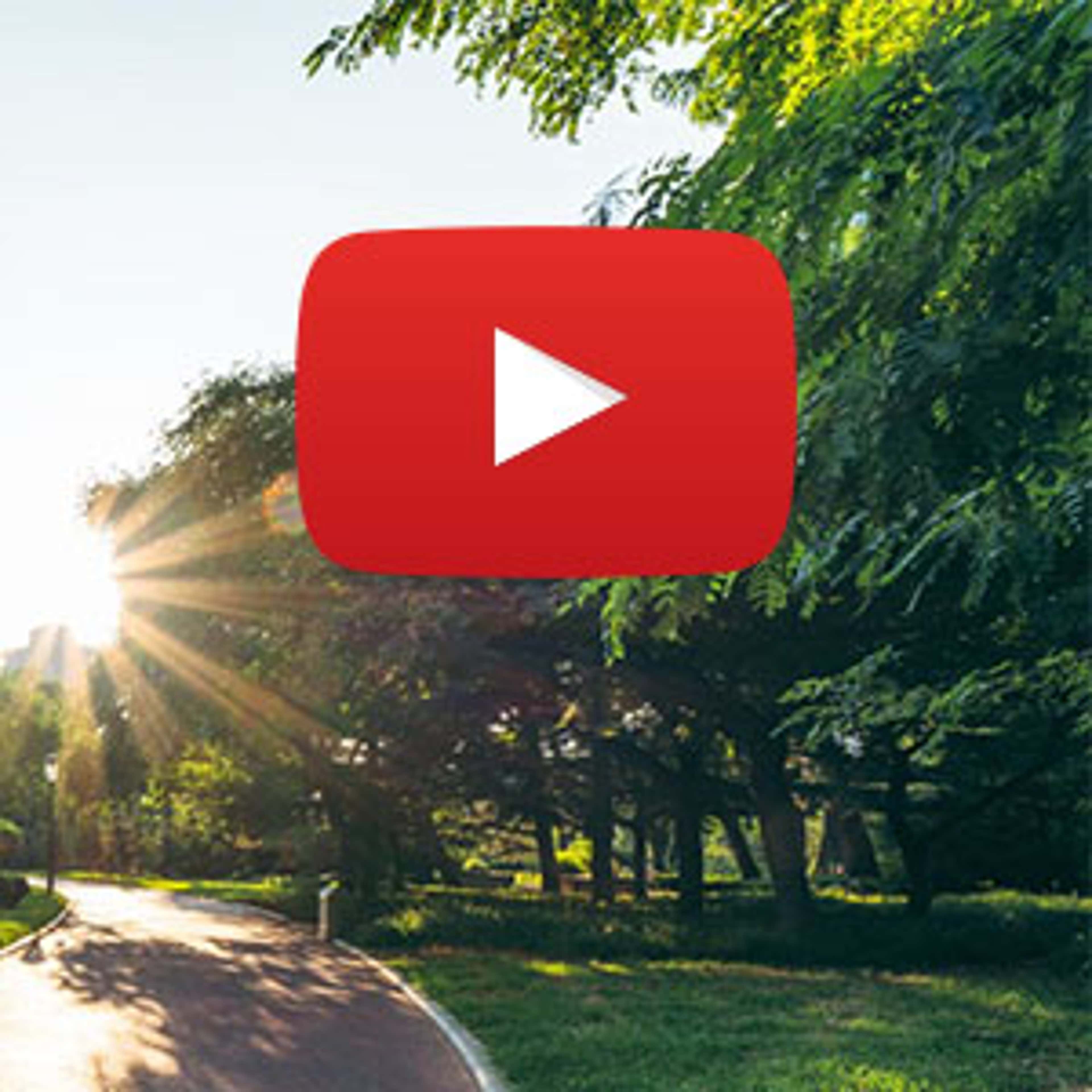 Sustainability Simplified: What CPAs Need to Know Webinar