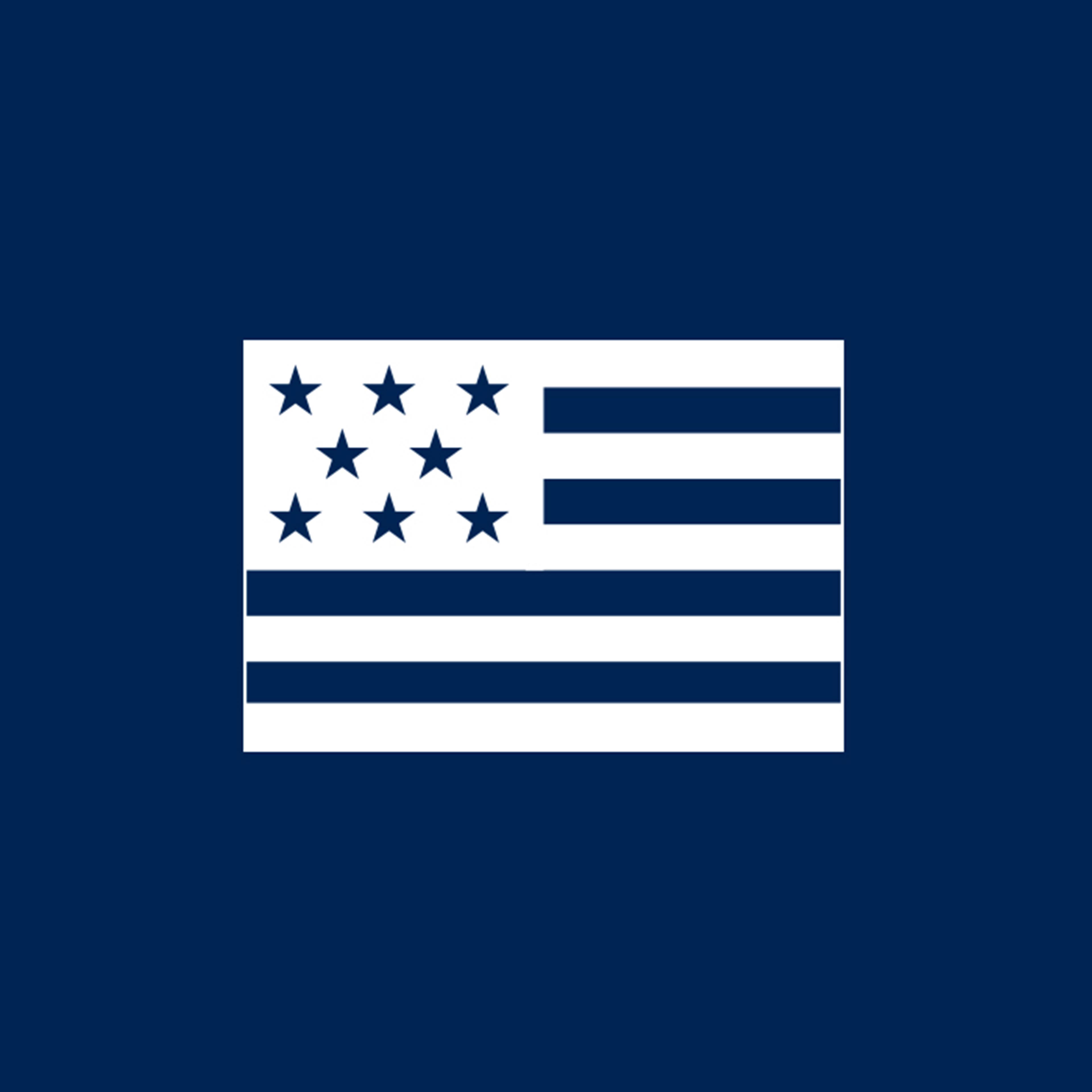 United States of America's flag