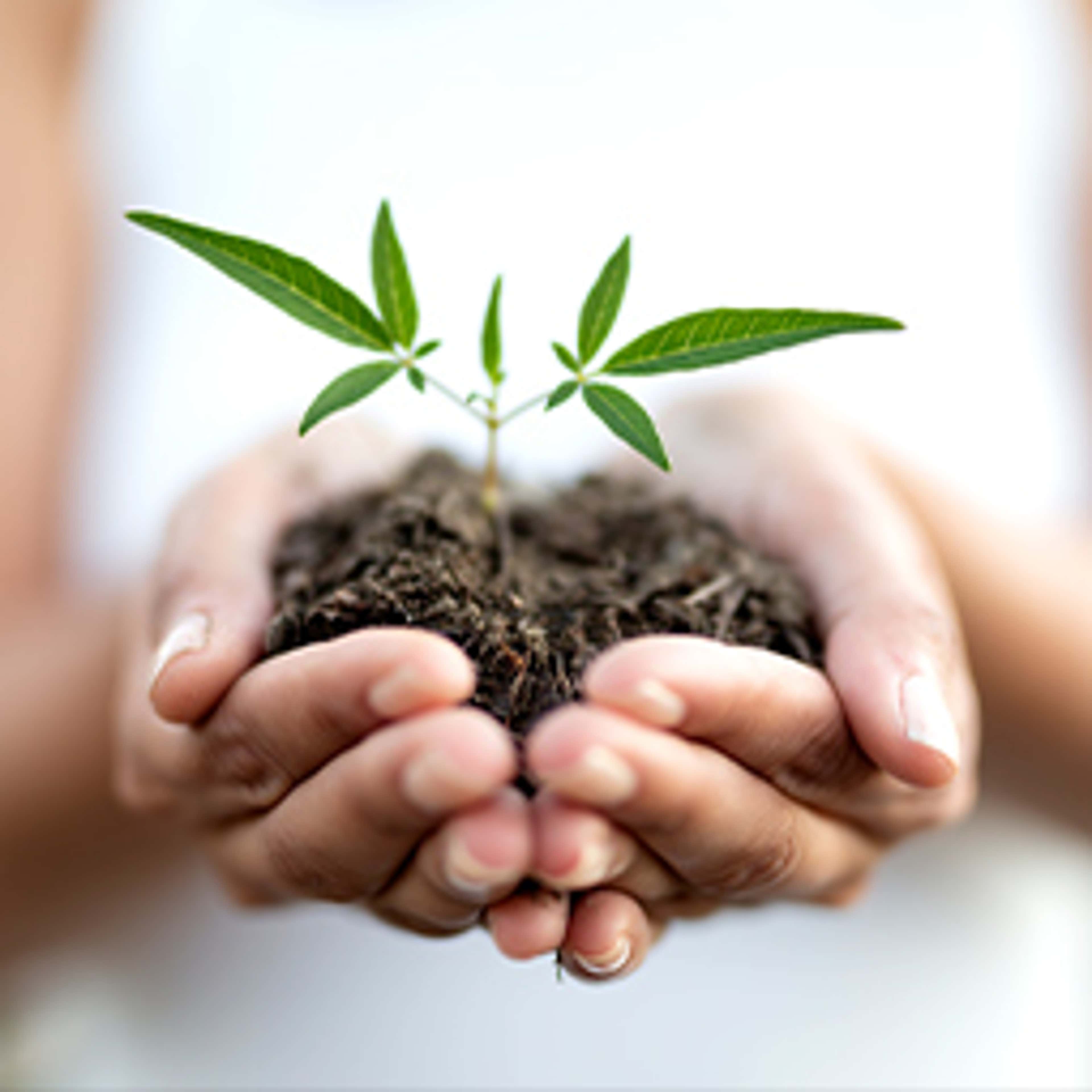 Sustainability Reporting Assurance