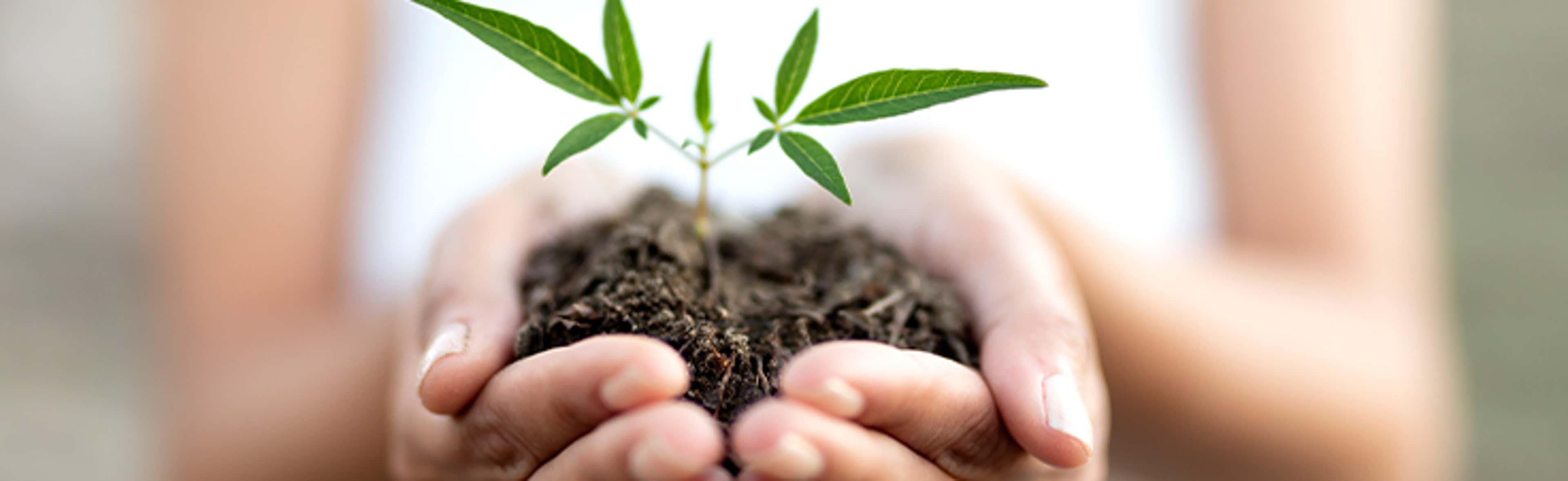 Sustainability Reporting Assurance