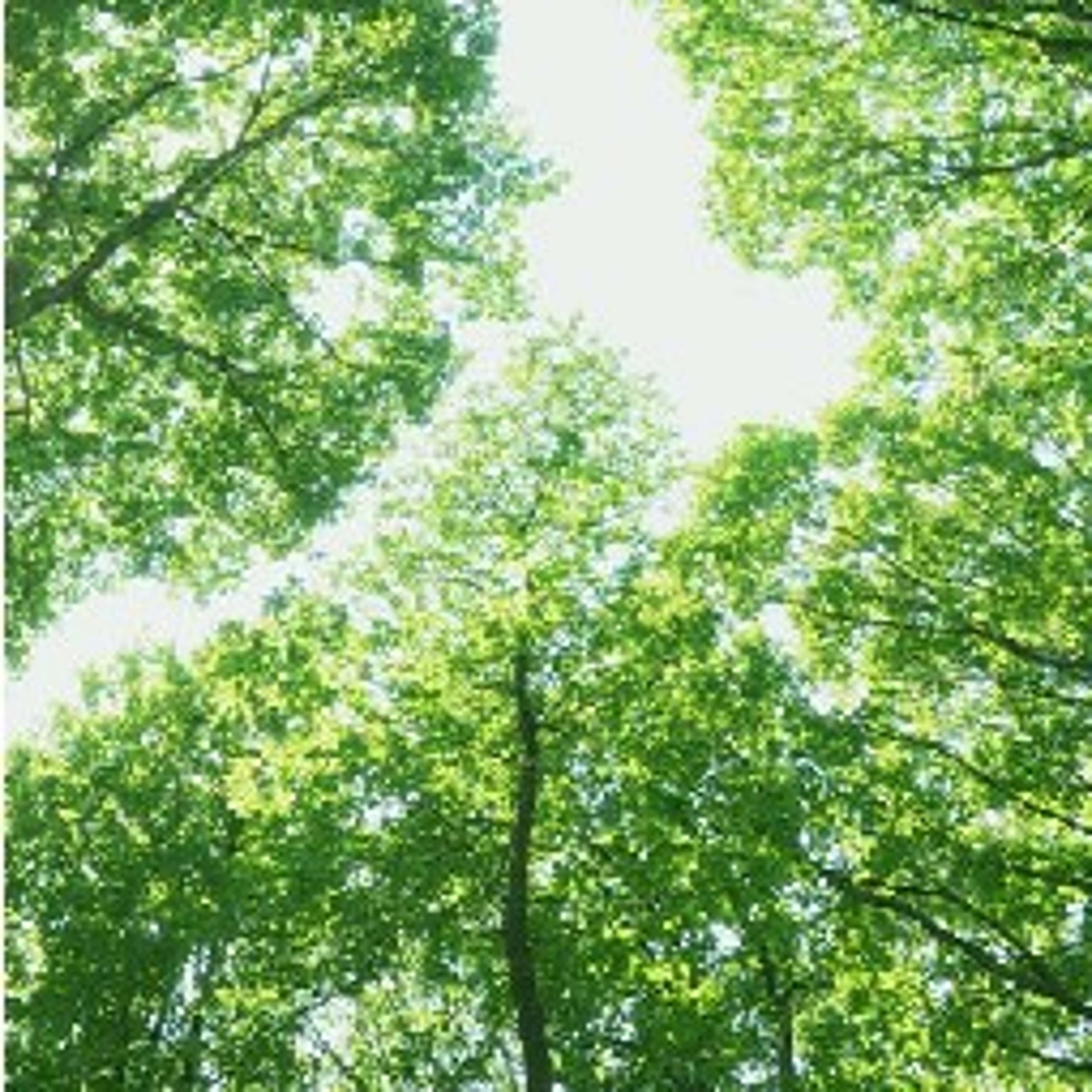 Key Takeaways from COP28