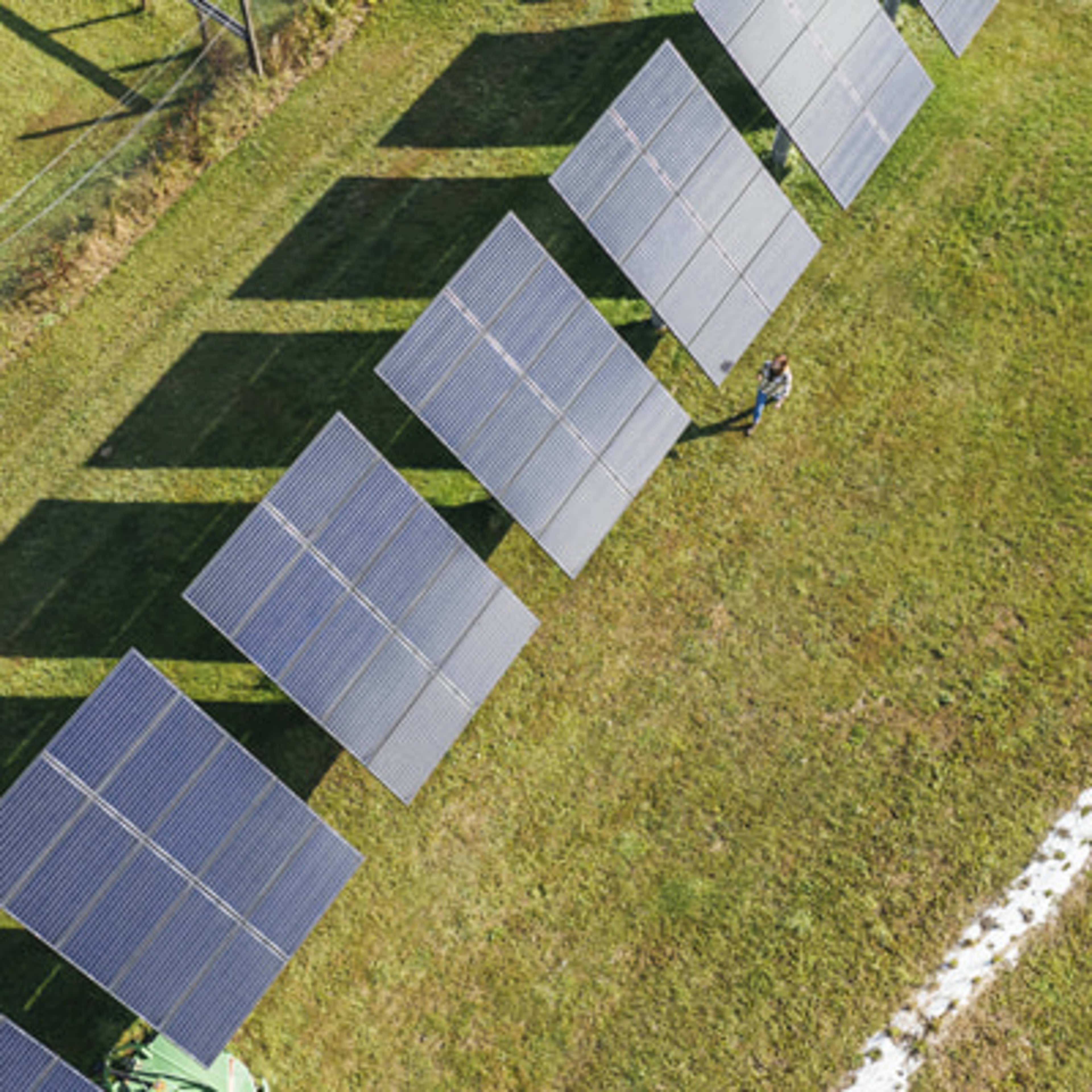Aerial view of a large field covered with solar panels